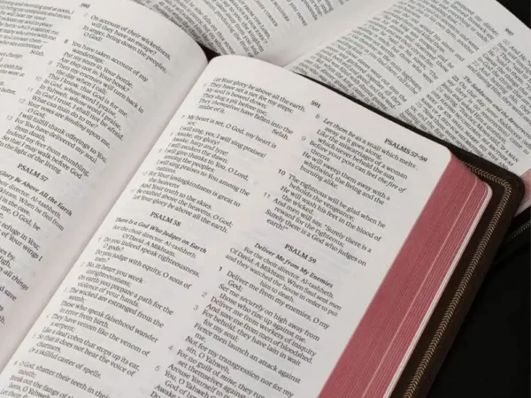 Bible Paper