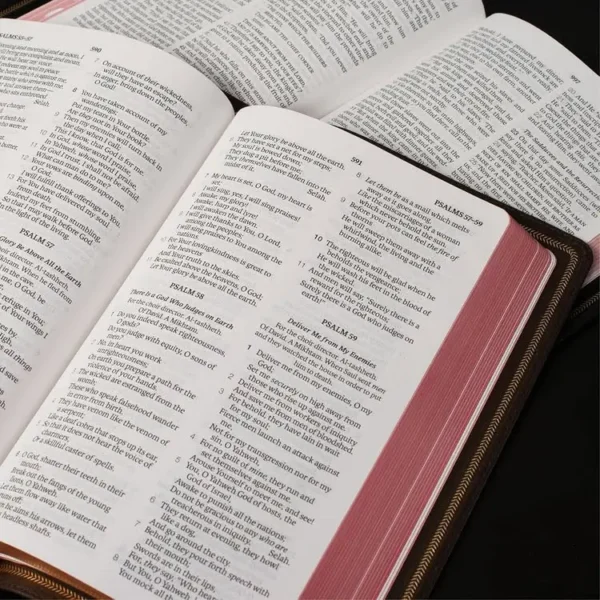Bible Paper
